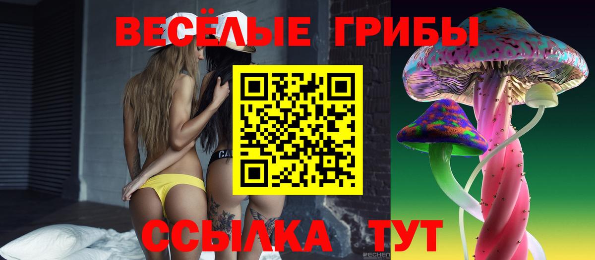 Прохладный  Галлюциногенные грибы прущие грибы  Псилоцибиновые грибы GOLDEN TEACHER  Вход с VPN 